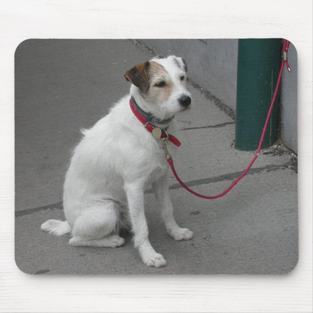 Tapis De Souris Mongrel blanc doux (Devant)