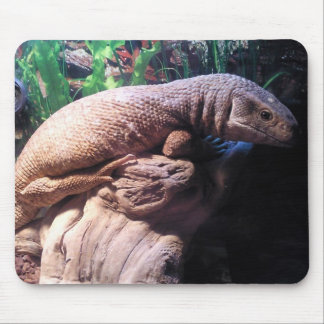 Tapis De Souris Moniteur de la savane