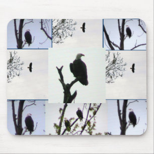 Tapis De Souris Montage d'aigle chauve