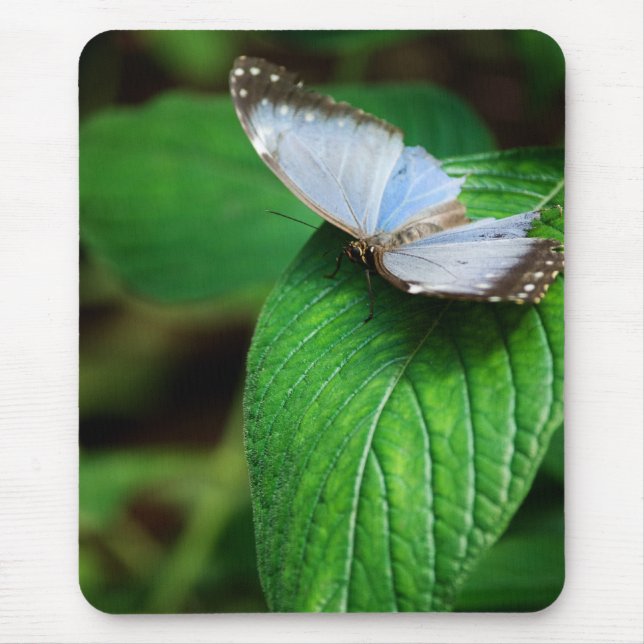Tapis De Souris Morpho bleu 112 Mousepad (Devant)
