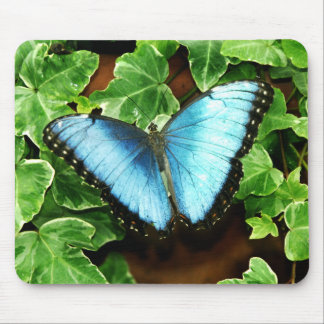 Tapis De Souris Morpho bleu Mousepad