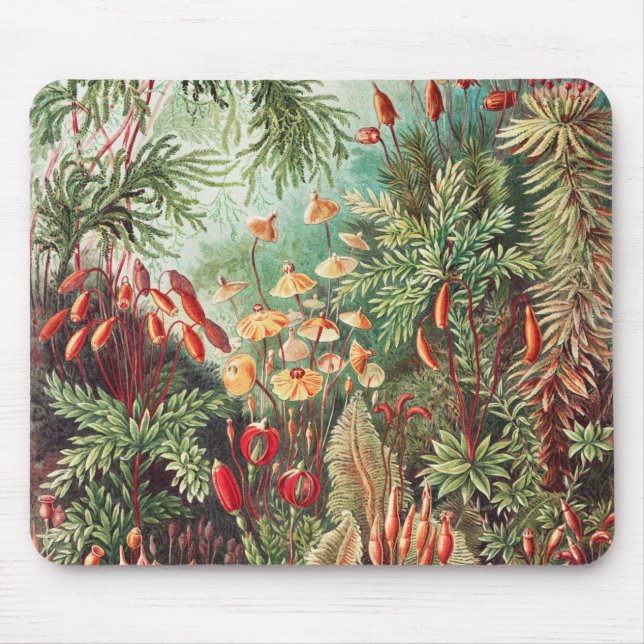 Tapis De Souris Mosses, Muscinae Laubmoose par Ernst Haeckel (Devant)