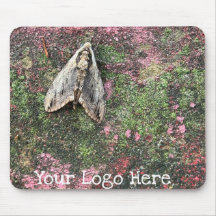 Moth inspirée par la nature