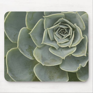 Tapis De Souris Motif de cactus