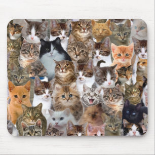 Tapis De Souris Motif de visages de chat