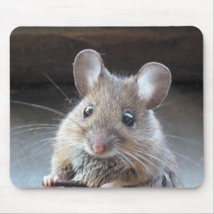 Tapis De Souris Moue mousepad