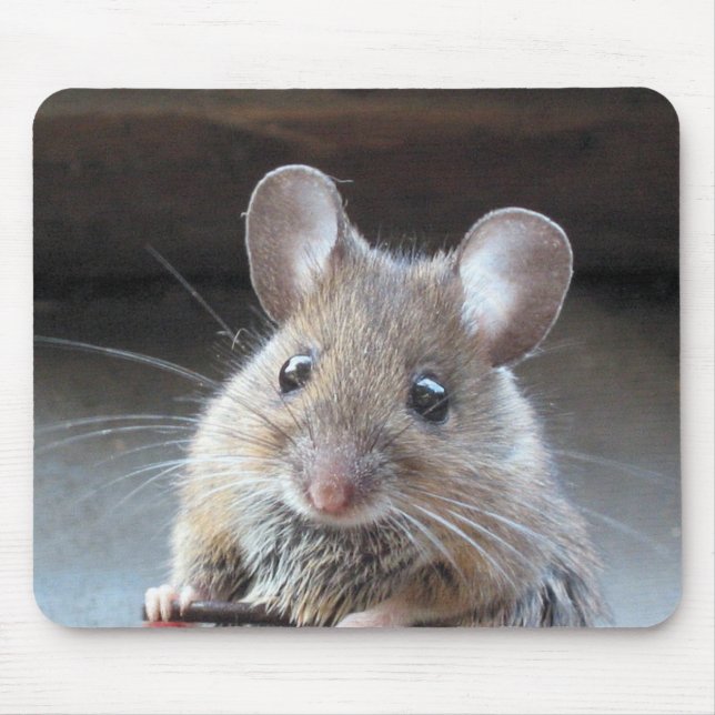 Tapis De Souris Moue mousepad (Devant)