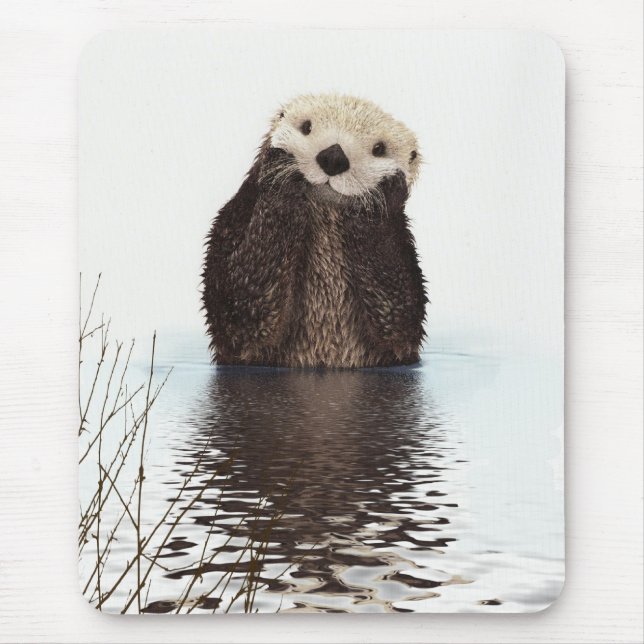 Tapis De Souris Moufle de Fluffy adorable mignonne animal (Devant)
