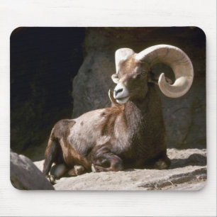 Tapis De Souris Mouflons d'Amérique de désert (RAM adulte enfonc