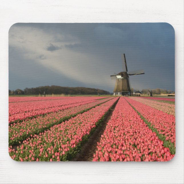 Tapis De Souris Moulin à vent avec les tulipes roses au printemps (Devant)