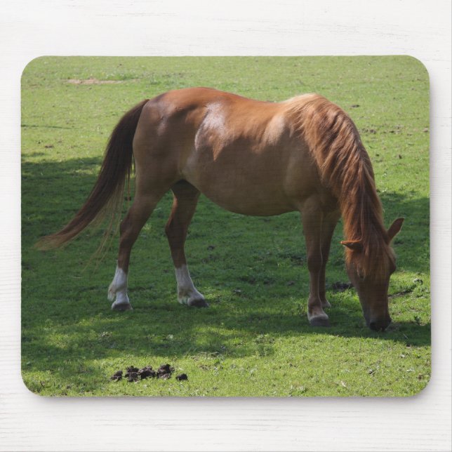 Tapis De Souris Mousepac à cheval Brown (Devant)