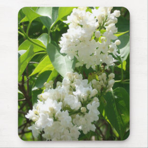 Tapis De Souris mousepac blanc