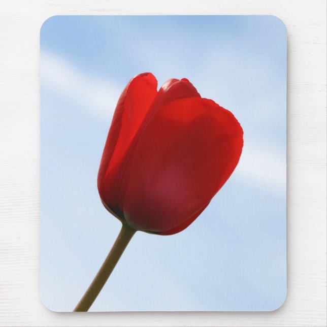 Tapis De Souris Mousepad (Devant)