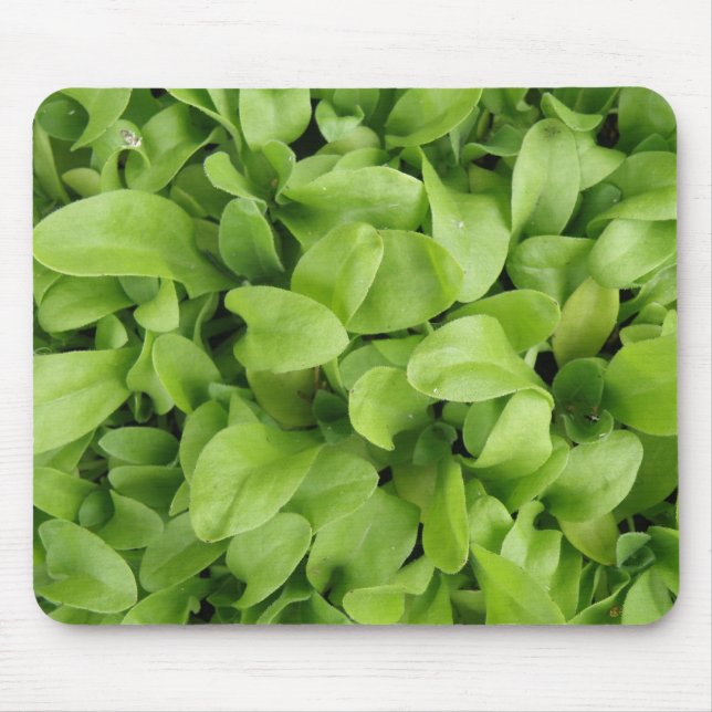 Tapis De Souris Mousepad (Devant)