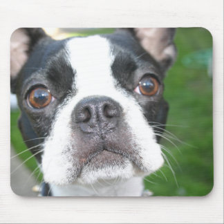 Tapis De Souris Mousepad