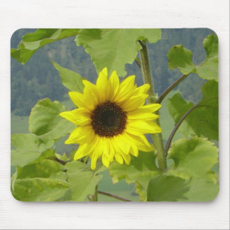 TAPIS DE SOURIS MOUSEPAD