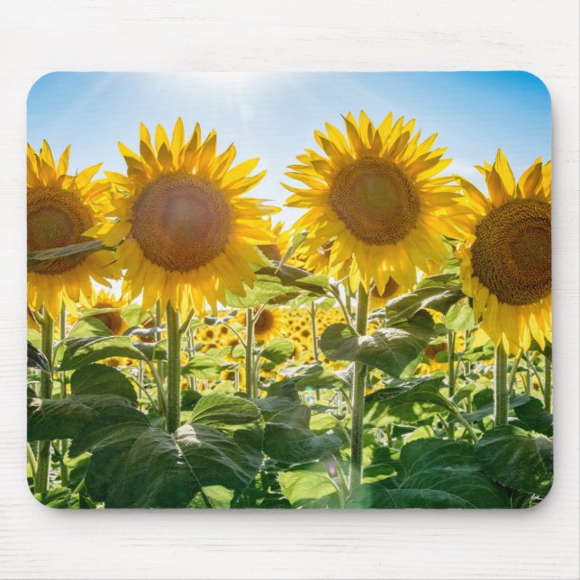 Tapis De Souris Mousepad (Devant)