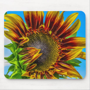 Tapis De Souris Mousepad