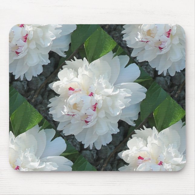 Tapis De Souris Mousepad à poitrine multiple (Devant)