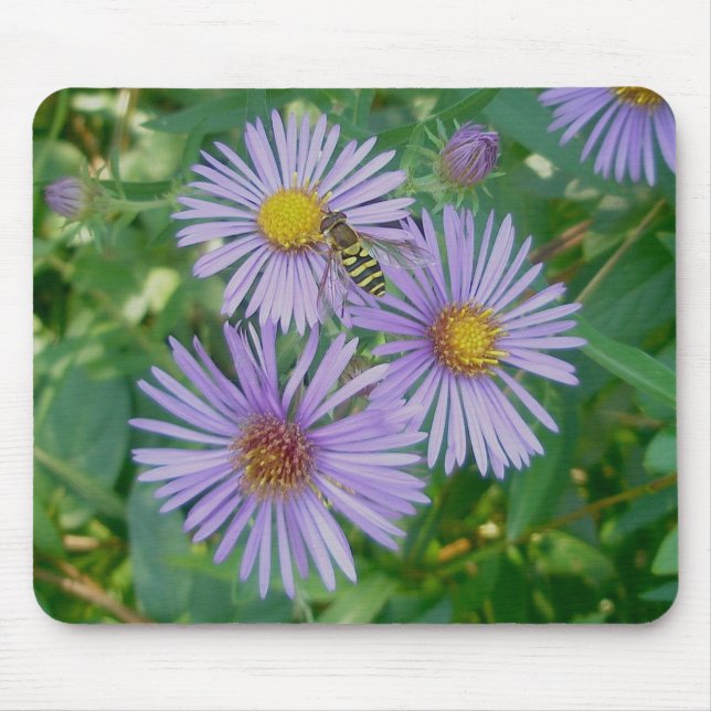 Tapis De Souris Mousepad Aster Fly & Purple Asters (Devant)