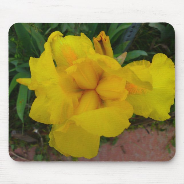 Tapis De Souris Mousepad aux fleurs de fer jaune (Devant)