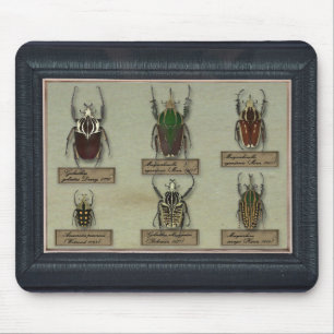Tapis De Souris Mousepad avec des scarabées de Goliath