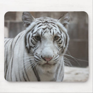 Tapis De Souris Mousepad blanc de tigre