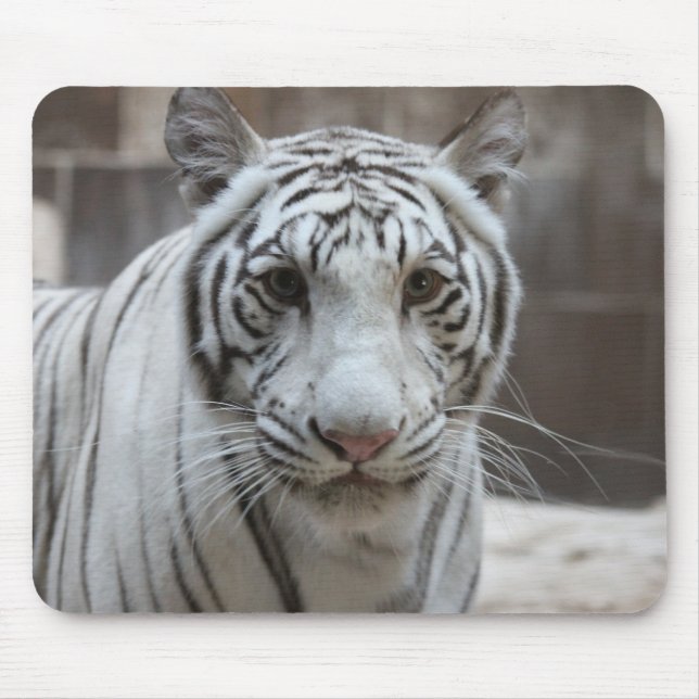 Tapis De Souris Mousepad blanc de tigre (Devant)