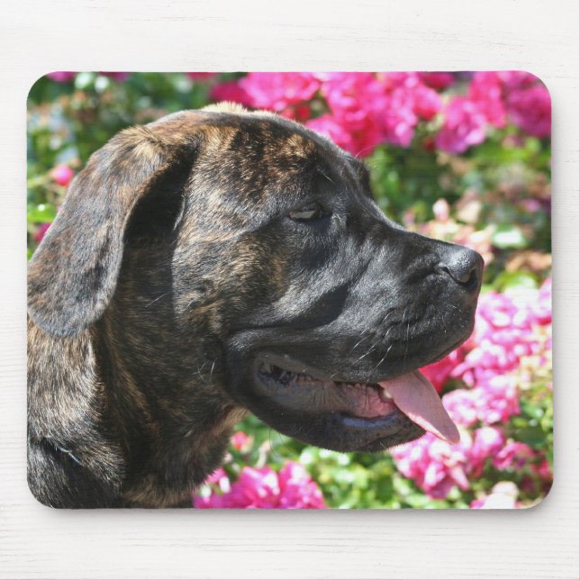 Tapis De Souris Mousepad Brindle de chiot de mastiff (Devant)