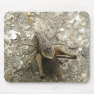 Tapis De Souris Mousepad Brown