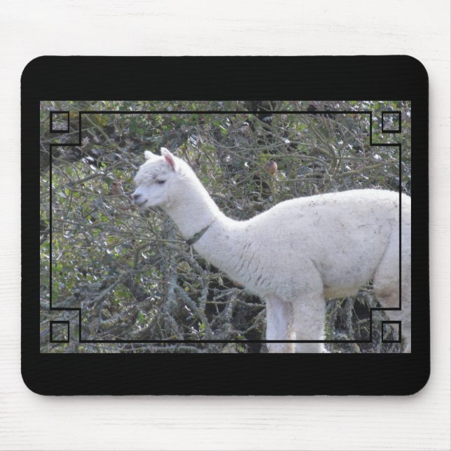 Tapis De Souris Mousepad - Cadre pour votre image (Devant)