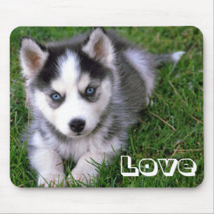 Tapis De Souris Mousepad, Chien de Chien de Chien de Chien de Sib