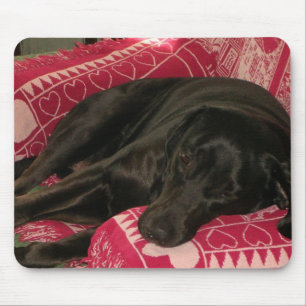 Tapis De Souris Mousepad, chien endormi