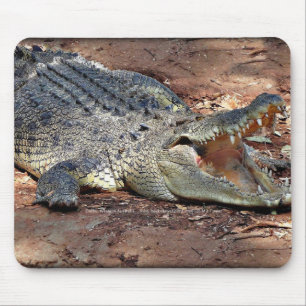 Tapis De Souris Mousepad - crocodile