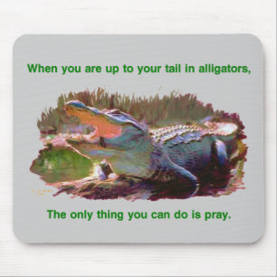 Tapis De Souris mousepad d'alligator