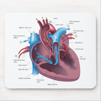 Tapis De Souris Mousepad d'anatomie de coeur