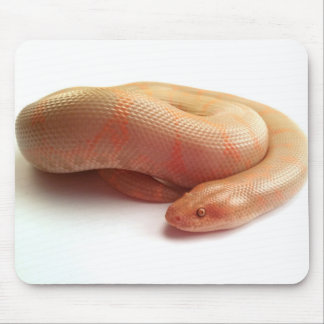 Tapis De Souris Mousepad de boa de sable de kenyan albinos