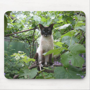 Tapis De Souris Mousepad de chat