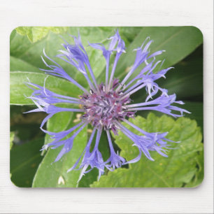 Tapis De Souris Mousepad de Cornflower Bleue