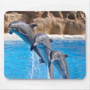 Tapis De Souris Mousepad de dauphins