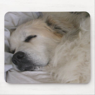 Tapis De Souris Mousepad de Grands Pyrénées
