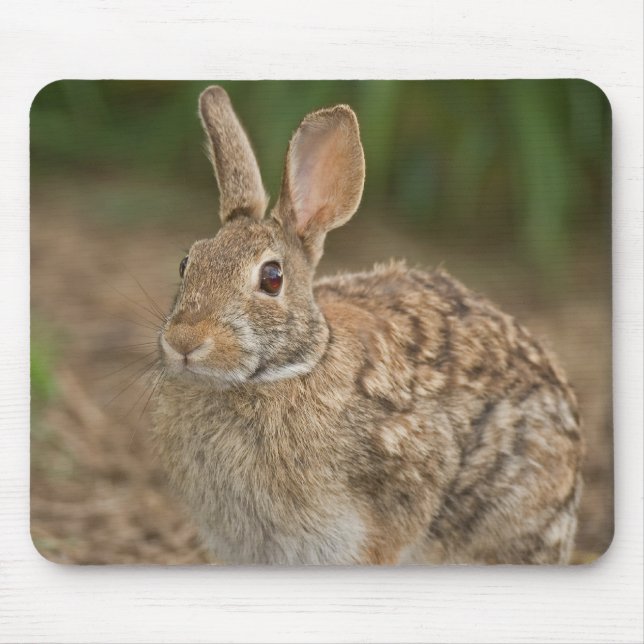 Tapis De Souris Mousepad de lapin (Devant)