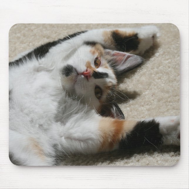 Tapis De Souris Mousepad de l'espoir (Devant)