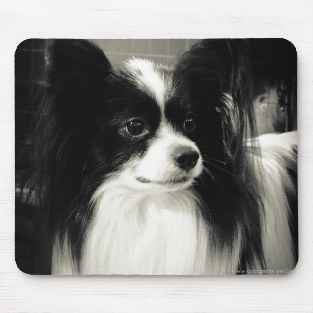 Tapis De Souris mousepad de papillon (Devant)
