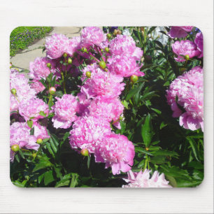 Tapis De Souris Mousepad de pivoine rose blanche