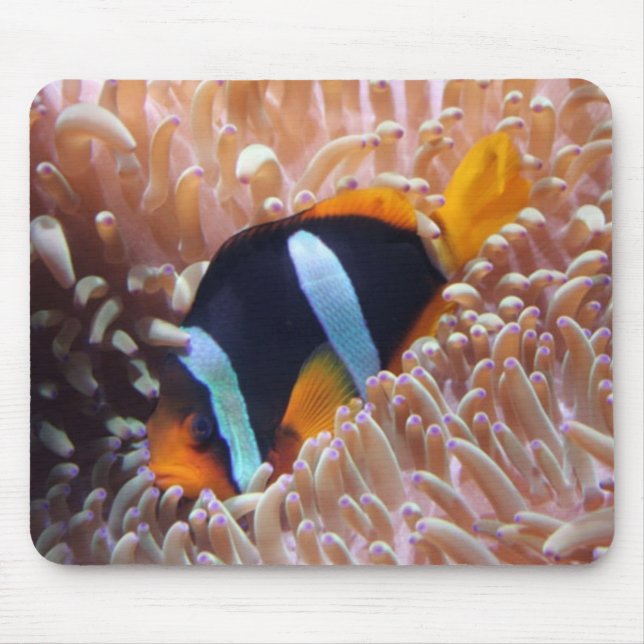 Tapis De Souris Mousepad de poisson clown (Devant)