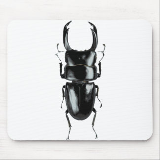 Tapis De Souris Mousepad de scarabée de mâle