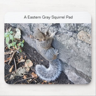 Tapis De Souris Mousepad d'écureuil gris-oriental