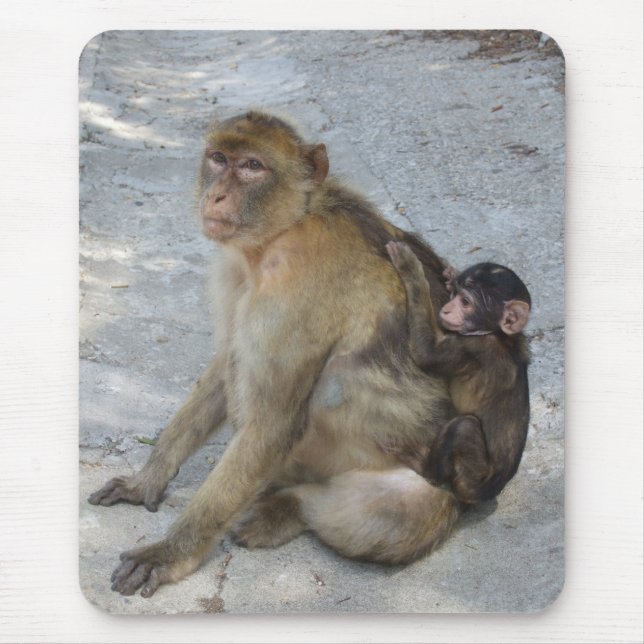 Tapis De Souris Mousepad des singes de Gibraltar (Devant)