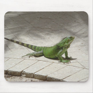 Tapis De Souris Mousepad d'iguane